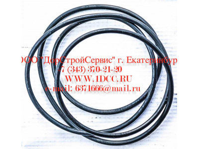 Кольцо уплотнительное ø338х3.55 гидромуфты ГТР CDM 833 Lonking CDM (СДМ) ø338х3.55 фото 1 Нальчик