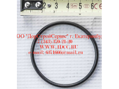 Кольцо уплотнительное ø346х3.5 гидромуфты ГТР CDM 855, 843 Lonking CDM (СДМ) 402236 фото 1 Нальчик