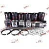 Поршневая группа WD615.95 375л.с. (6 гильз, 6 поршней (...0004), 6 пальцев,комплект колец) H3 BOWEI HOWO (ХОВО)  фото 13 Нальчик
