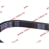 Ремень 8PK1725 DF/C CREATEK CREATEK C3911620/CK8041 фото 2 Нальчик