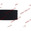 Ремень 8PK1725 DF/C CREATEK CREATEK C3911620/CK8041 фото 3 Нальчик