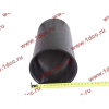 Поршневая группа WD615.95 375л.с. (6 гильз, 6 поршней (...0004), 6 пальцев,комплект колец) H3 BOWEI HOWO (ХОВО)  фото 3 Нальчик